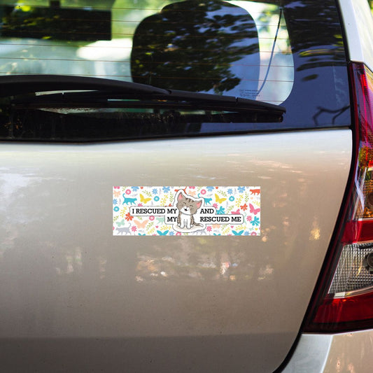 I rescued my cat and my cat rescued me