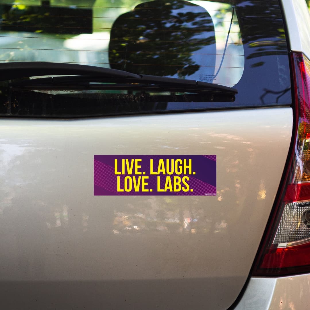 Live. Laugh. Love. Labs. (Labrador)