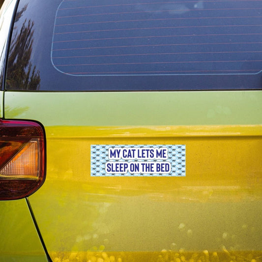 My Cat Lets Me Sleep on the Bed