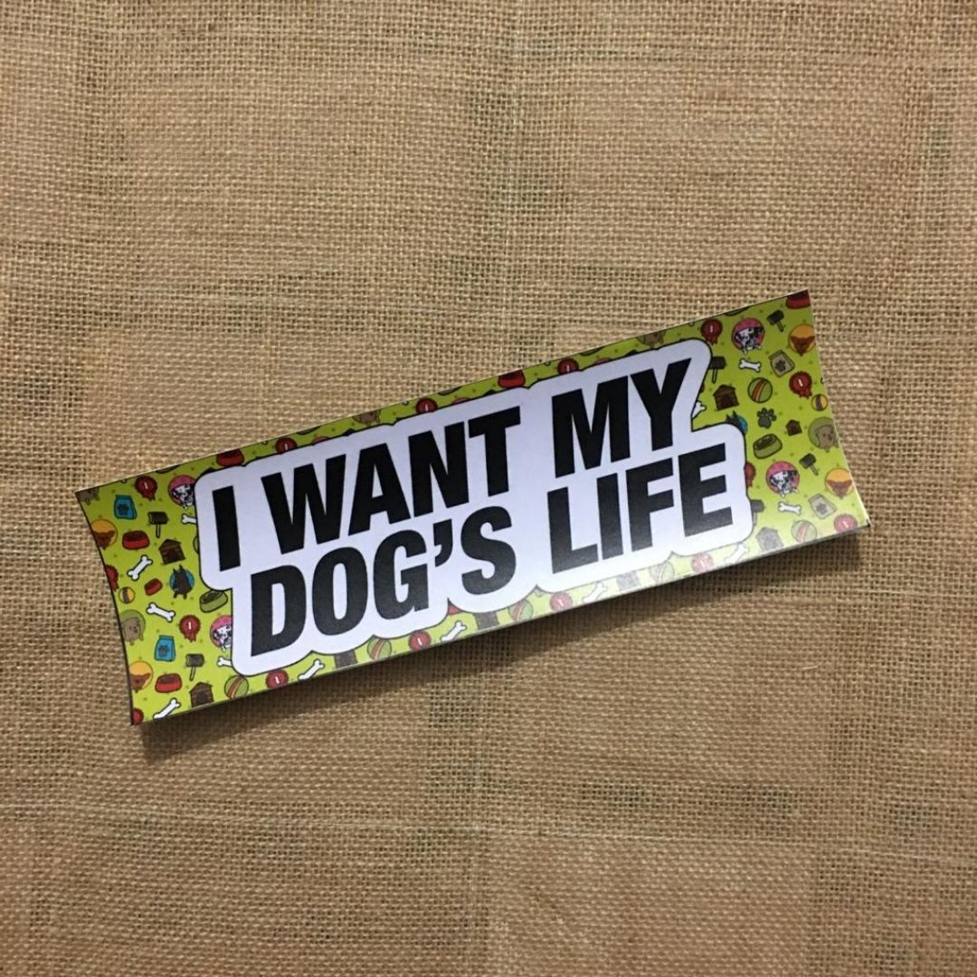 I want my dog's life - Bumper Talks