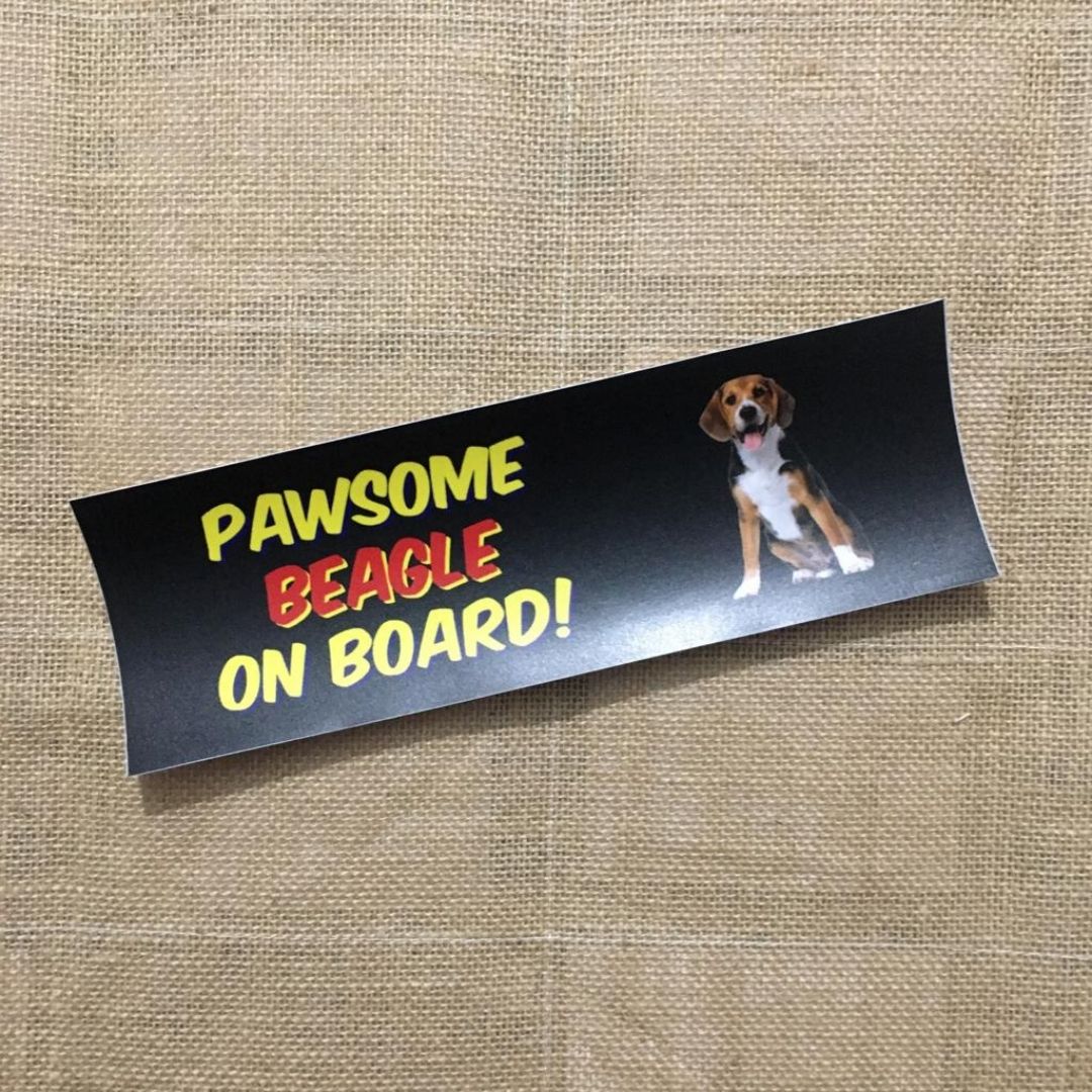 Pawsome Beagle on Board - Bumper Talks