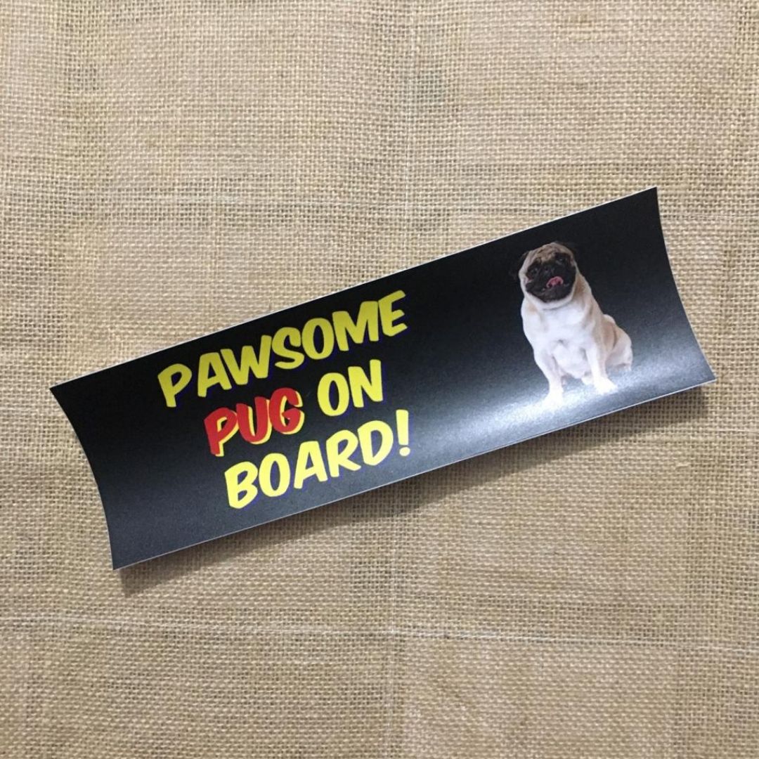 Pawsome Pug on Board - Bumper Talks