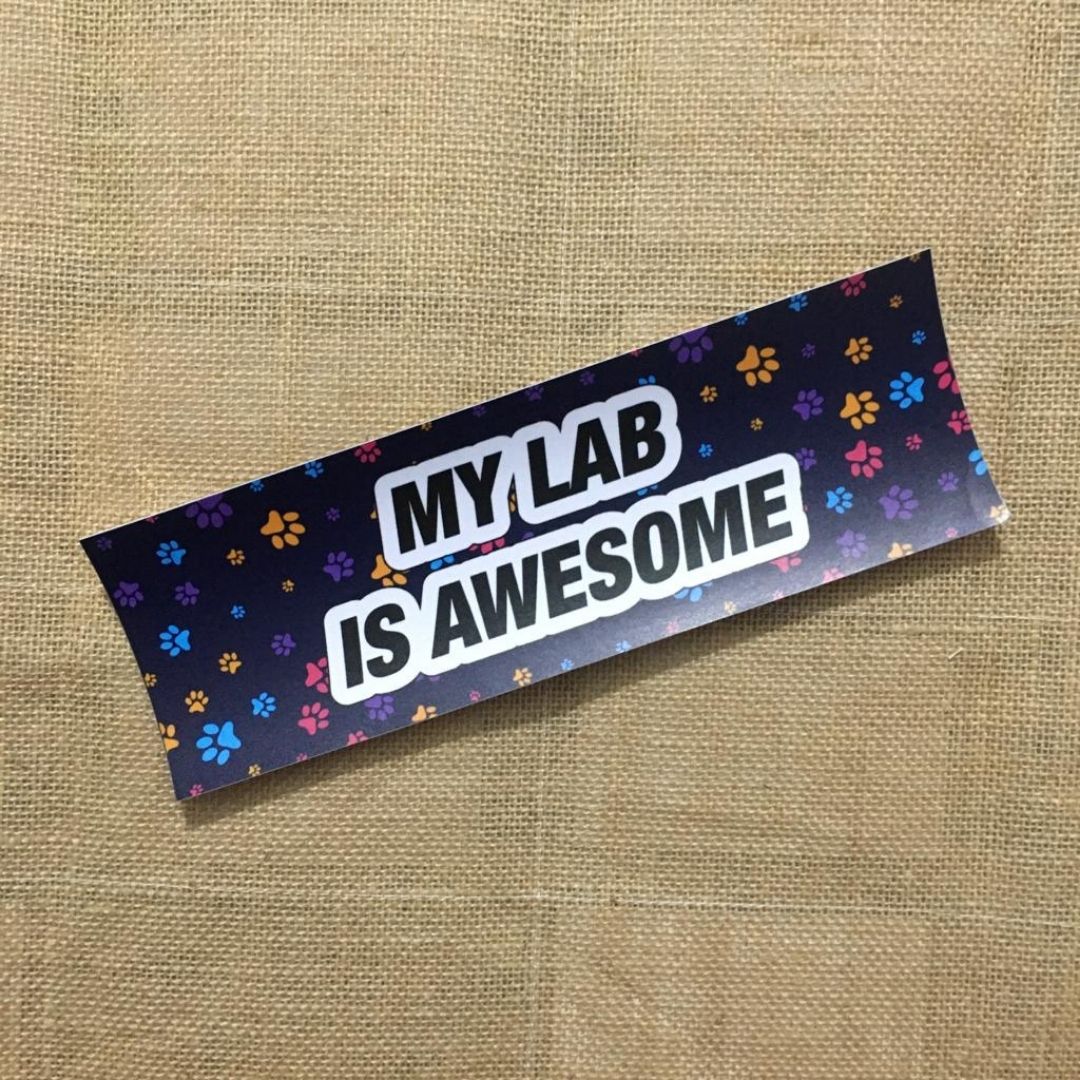 My Lab is Awesome - Bumper Talks