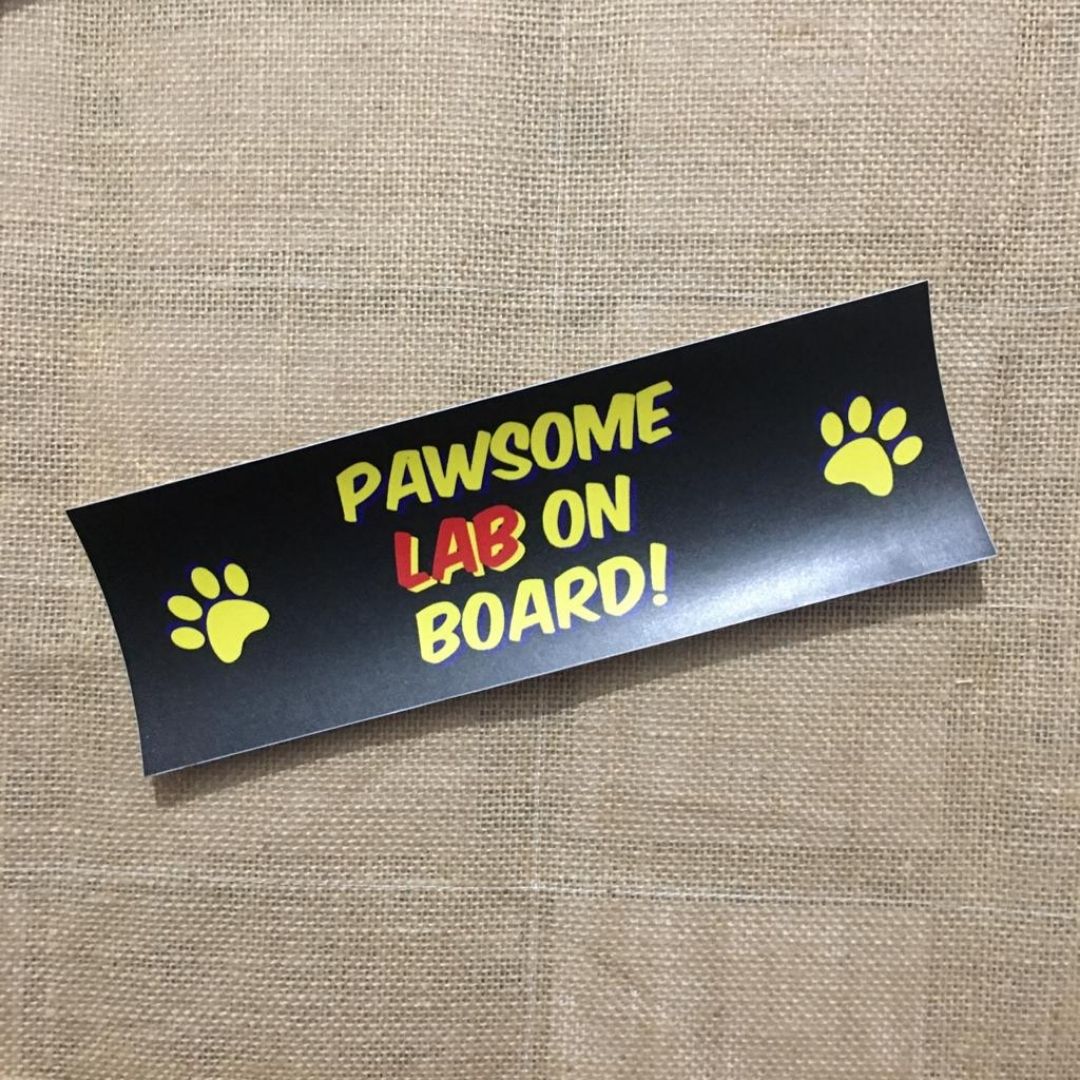 Pawsome Lab on Board - Bumper Talks