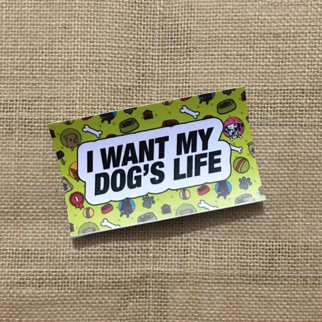 I want my dog's life - Bumper Talks