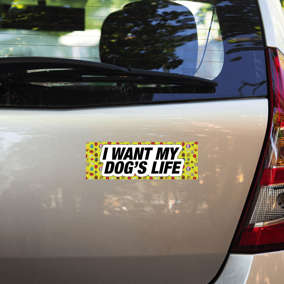 I want my dog's life - Bumper Talks