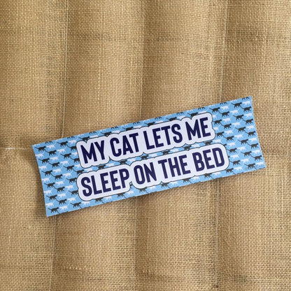 My Cat Lets Me Sleep on the Bed