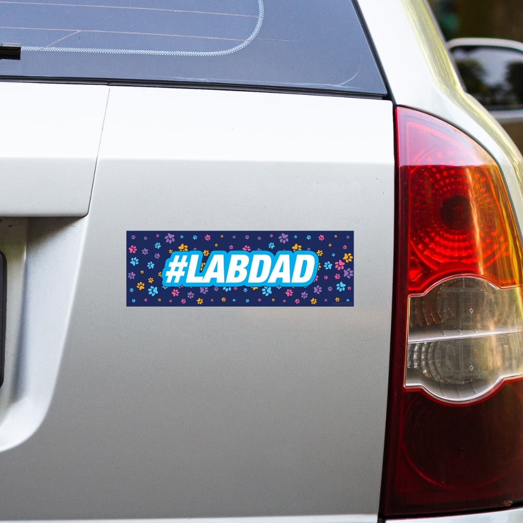 #LABDAD - Bumper Talks