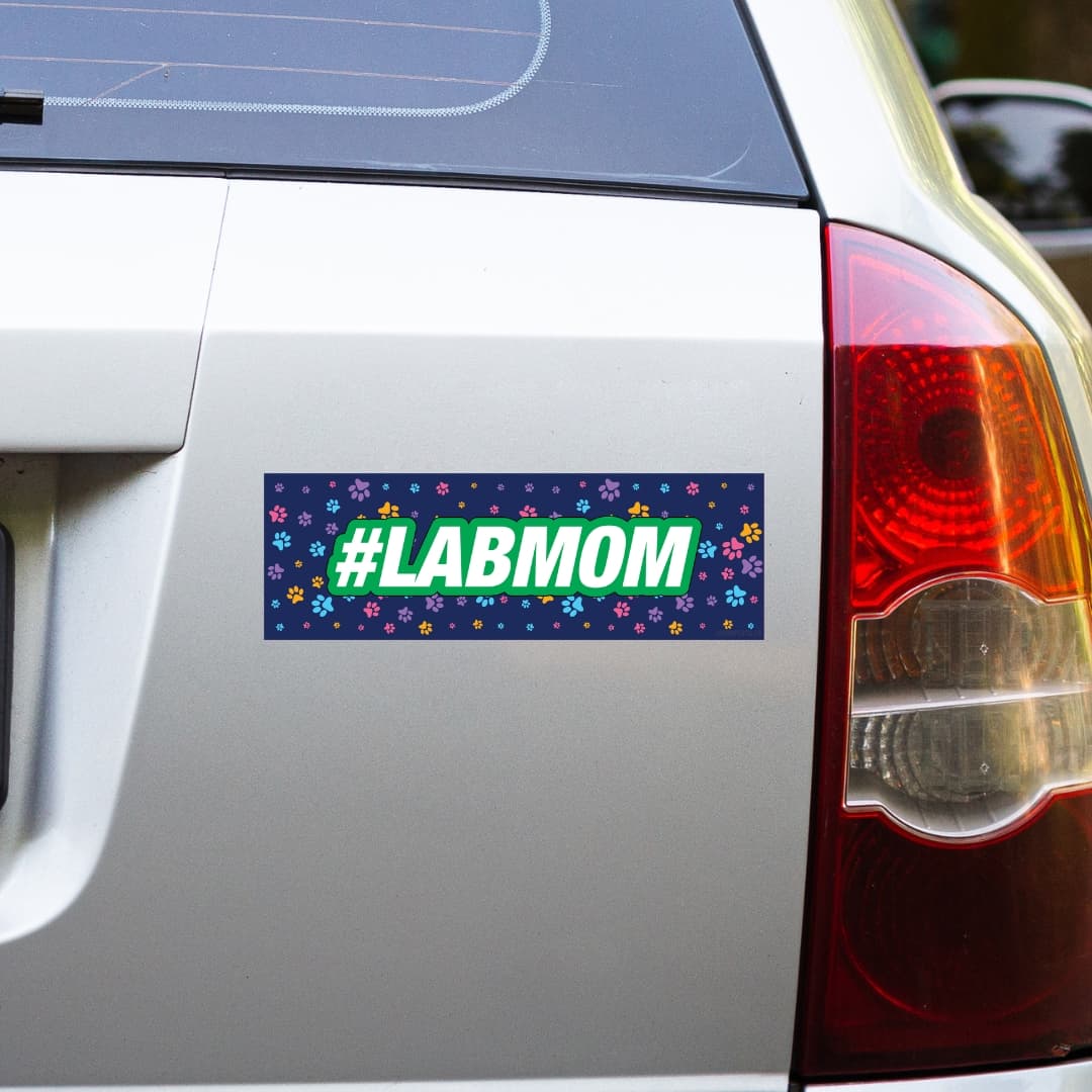 #LABMOM - Bumper Talks