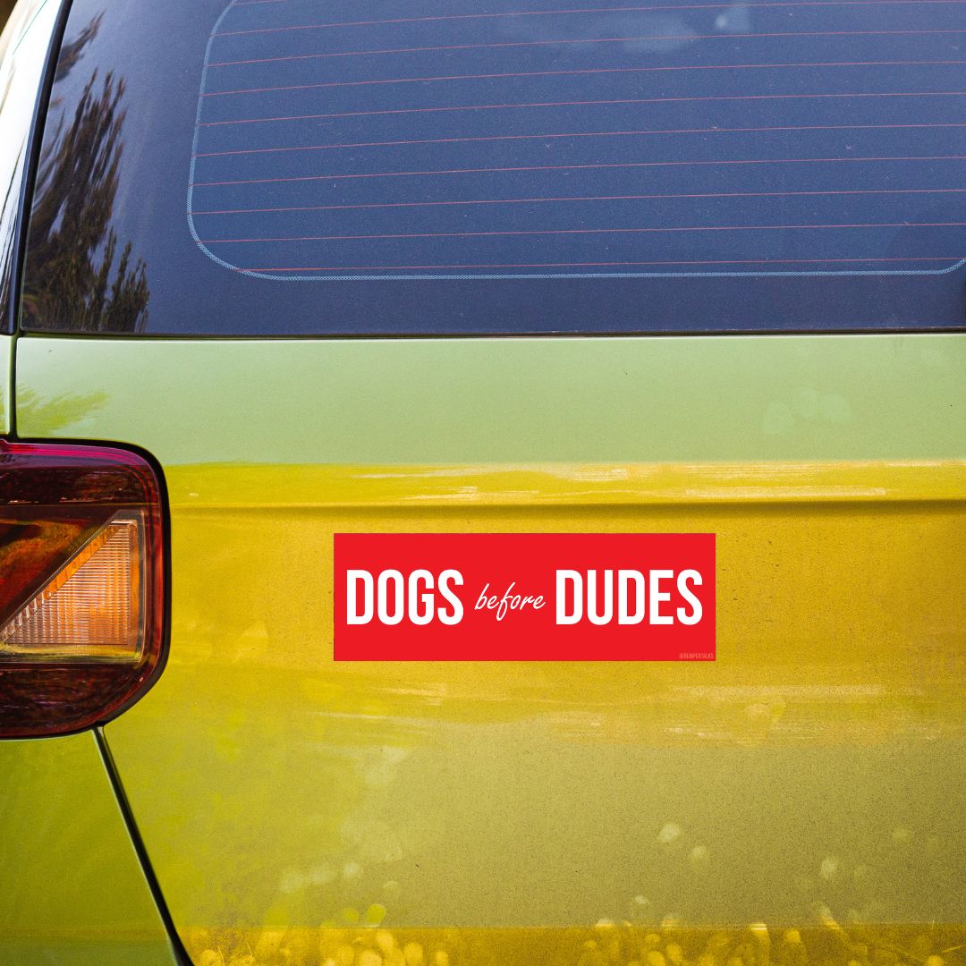 Dogs Before Dudes